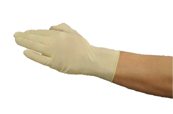 Latex Gloves - Powderfree