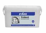 Trident Powder 5kg