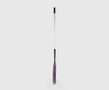 Extendable Cobweb Brush with Handle