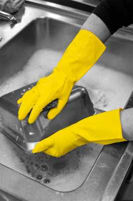 Household Gloves